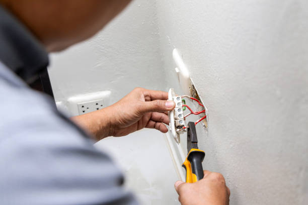 Best Electric Panel Repair  in Rosepine, LA